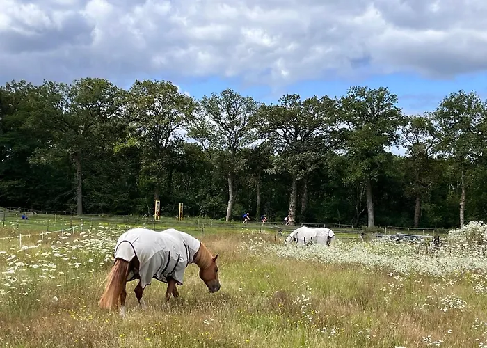 Bed&Breakfast De Paalberg